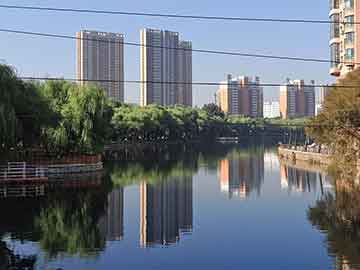 方块大战争与代餐粉市场新动态，聚焦最新版代餐粉市场趋势与价格解析——以159代餐粉为例