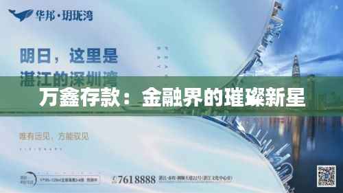 万鑫存款:金融界的璀璨新星