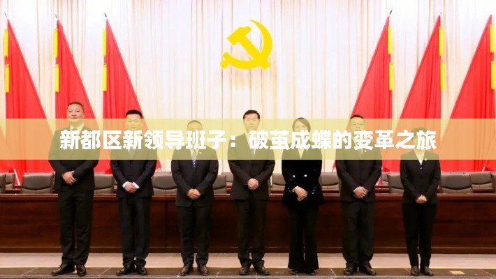 新都区新领导班子：破茧成蝶的变革之旅
