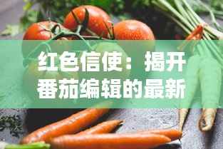红色信使:揭开番茄编辑的最新联系方式之谜