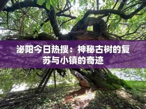 泌阳今日热搜:神秘古树的复苏与小镇的奇迹