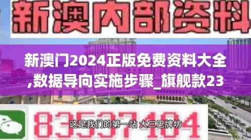新澳门2024正版免费资料大全,数据导向实施步骤_旗舰款23.817-6