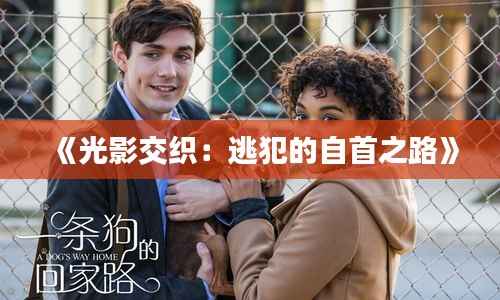 《光影交织：逃犯的自首之路》