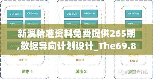新澳精准资料免费提供265期,数据导向计划设计_The69.809
