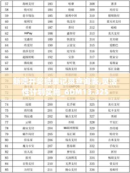 新澳开奖结果记录查询表,灵活性计划实施_6DM13.325