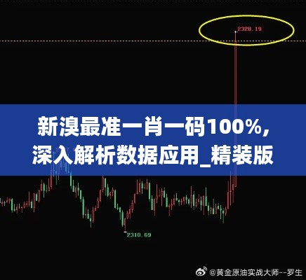 新溴最准一肖一码100%,深入解析数据应用_精装版2.328