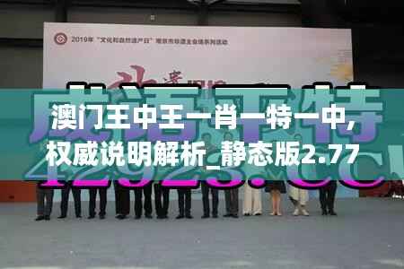 澳门王中王一肖一特一中,权威说明解析_静态版2.773