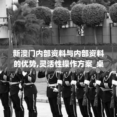 新澳门内部资料与内部资料的优势,灵活性操作方案_桌面款8.682