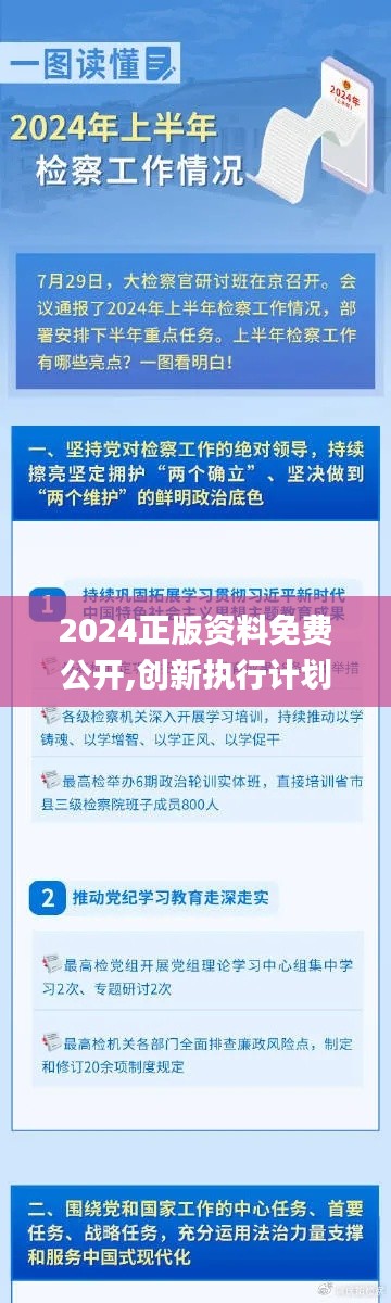 2024正版资料免费公开,创新执行计划_手游版7.346