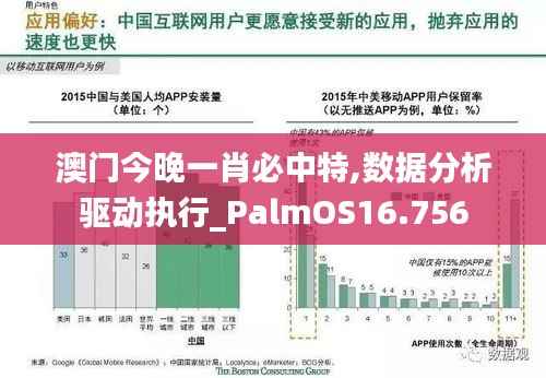 澳门今晚一肖必中特,数据分析驱动执行_PalmOS16.756