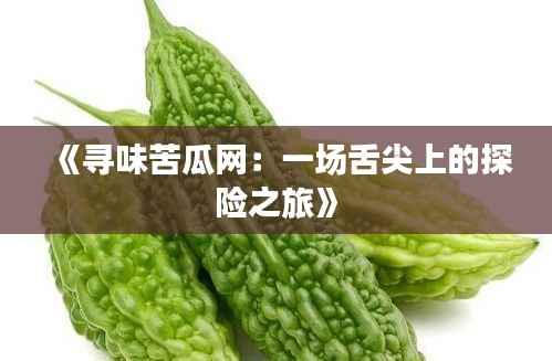 《寻味苦瓜网：一场舌尖上的探险之旅》