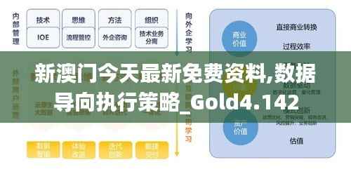 新澳门今天最新免费资料,数据导向执行策略_Gold4.142