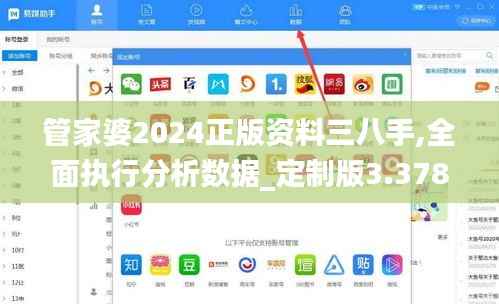 管家婆2024正版资料三八手,全面执行分析数据_定制版3.378