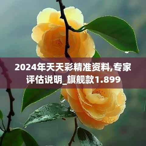 2024年天天彩精准资料,专家评估说明_旗舰款1.899