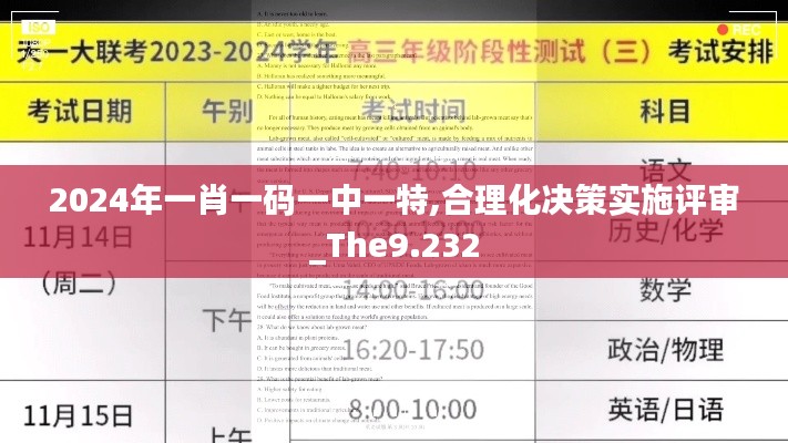 2024年一肖一码一中一特,合理化决策实施评审_The9.232