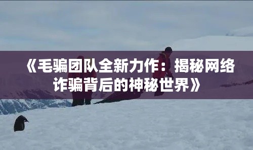 《毛骗团队全新力作：揭秘网络诈骗背后的神秘世界》