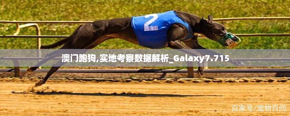 澳门跑狗,实地考察数据解析_Galaxy7.715