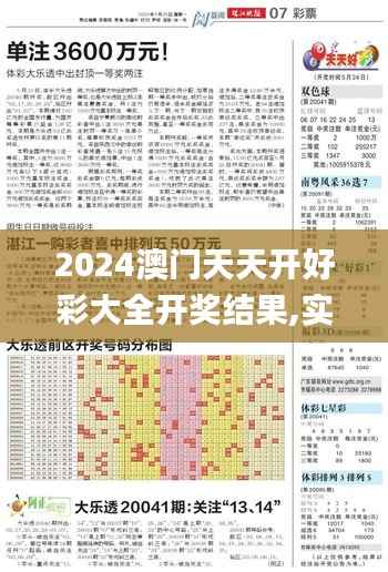 2024澳门天天开好彩大全开奖结果,实地解答解释定义_9DM10.633
