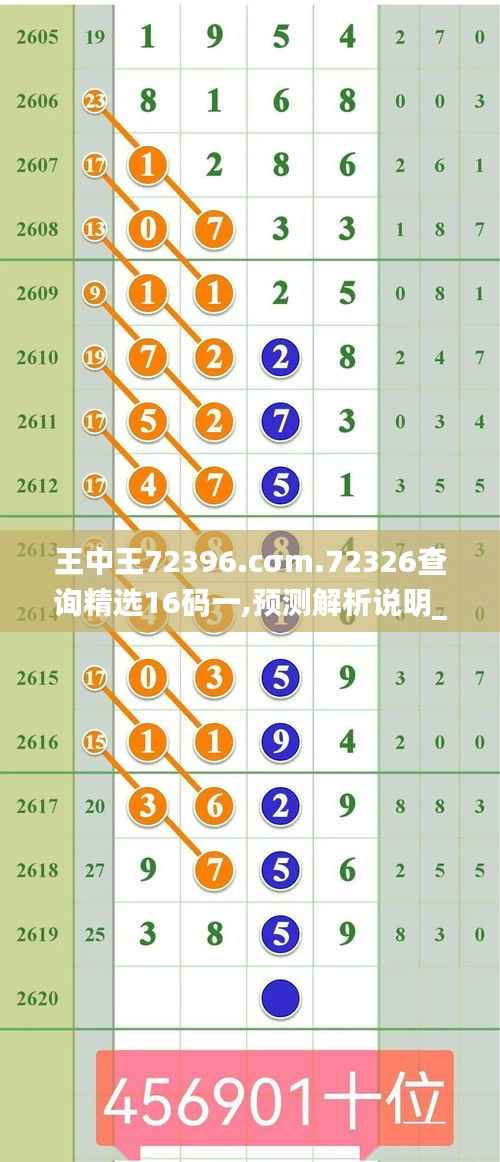 王中王72396.cσm.72326查询精选16码一,预测解析说明_铂金版5.168