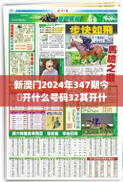 新澳门2024年347期今睌开什么号码32其开什么,持久性方案设计_Elite4.788