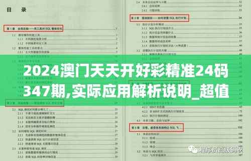 2024澳门天天开好彩精准24码347期,实际应用解析说明_超值版4.627