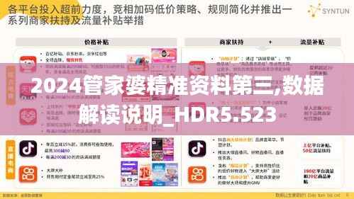 2024管家婆精准资料第三,数据解读说明_HDR5.523