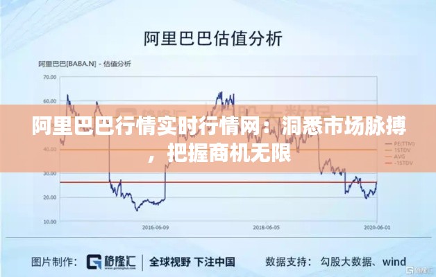 阿里巴巴行情实时行情网:洞悉市场脉搏,把握商机无限