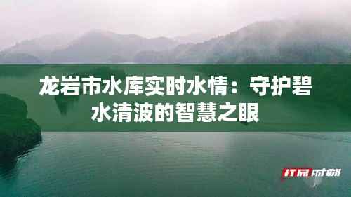 龙岩市水库实时水情：守护碧水清波的智慧之眼