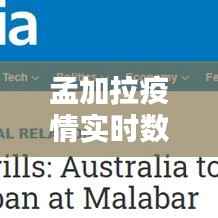 孟加拉疫情实时数据:追踪病毒蔓延的轨迹