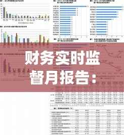 财务实时监督月报告:洞察企业财务健康状况的利器