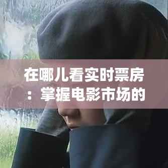 在哪儿看实时票房：掌握电影市场的脉搏