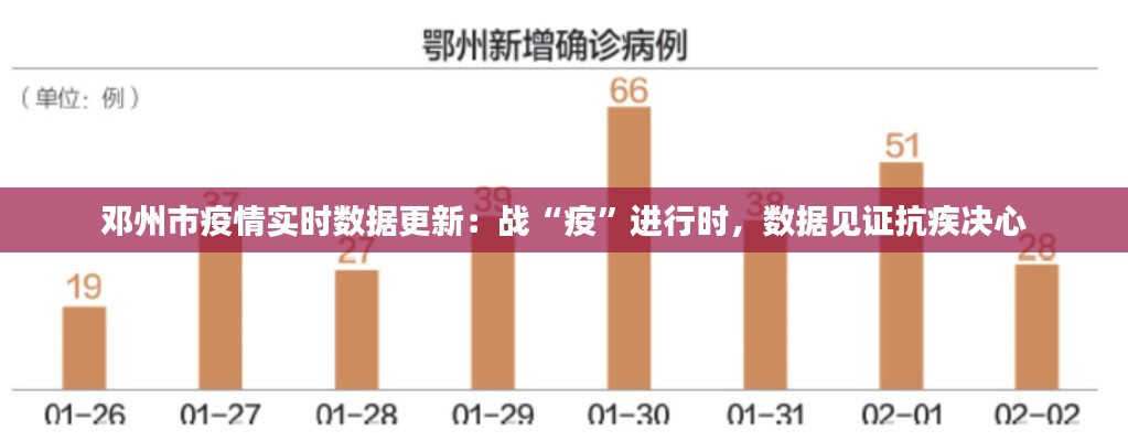 邓州市疫情实时数据更新:战“疫”进行时,数据见证抗疾决心