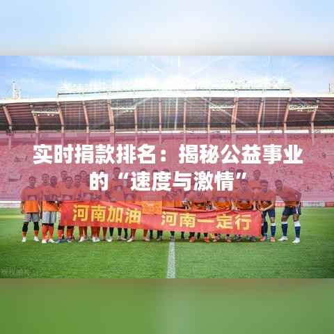 实时捐款排名:揭秘公益事业的“速度与激情”