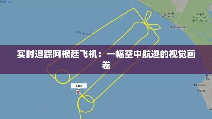 实时追踪阿根廷飞机：一幅空中航迹的视觉画卷