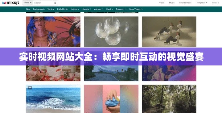 实时视频网站大全:畅享即时互动的视觉盛宴
