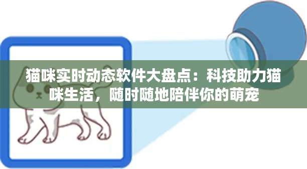 猫咪实时动态软件大盘点:科技助力猫咪生活,随时随地陪伴你的萌宠