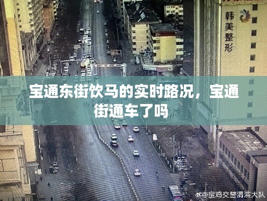 宝通东街饮马的实时路况,宝通街通车了吗