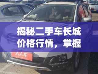 望其项背 第3页