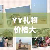 YY礼物价格大全，虚拟世界的馈赠价值解析