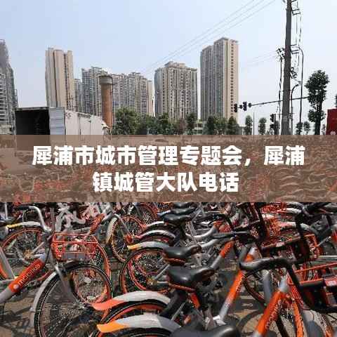 犀浦市城市管理专题会,犀浦镇城管大队电话