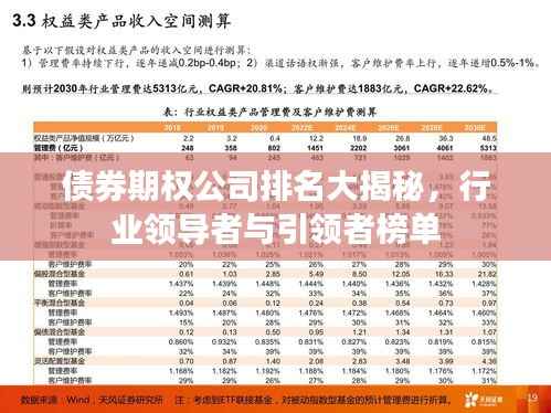 债券期权公司排名大揭秘,行业领导者与引领者榜单