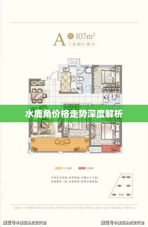 水鹿角价格走势深度解析