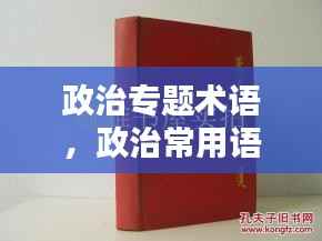 政治专题术语,政治常用语