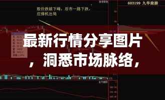 最新行情分享图片,洞悉市场脉络,掌握投资先机