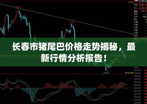 长春市猪尾巴价格走势揭秘，最新行情分析报告！