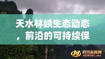 天水林峡生态动态，前沿的可持续保护与绿色发展新篇章