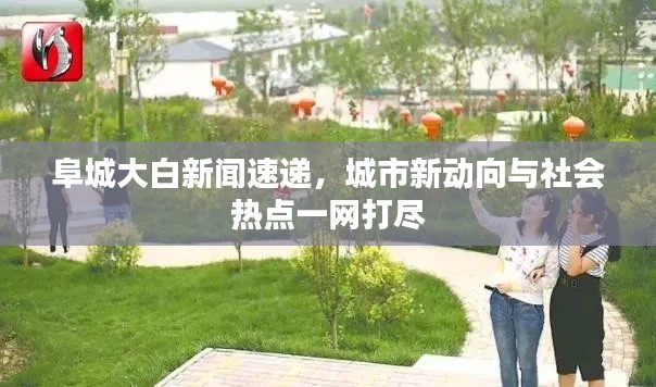 阜城大白新闻速递，城市新动向与社会热点一网打尽