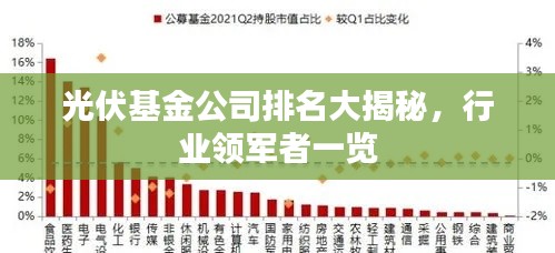 光伏基金公司排名大揭秘,行业领军者一览