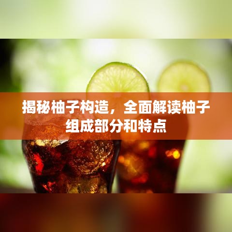 揭秘柚子构造，全面解读柚子组成部分和特点