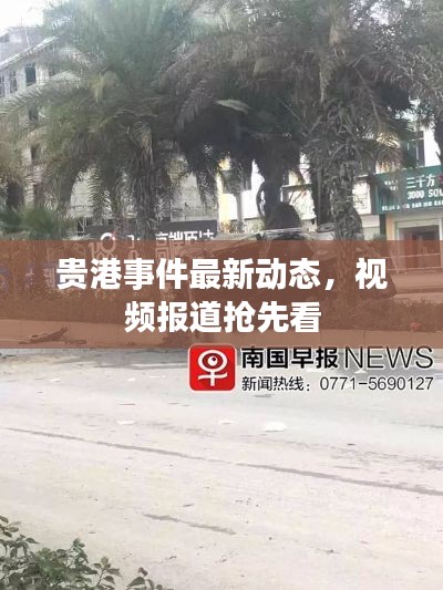 贵港事件最新动态，视频报道抢先看
